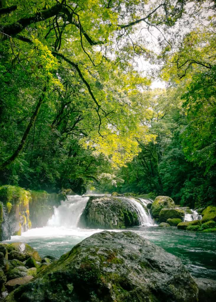 The Rejuvenating Forest Of Kikuchi Gorge Voyapon