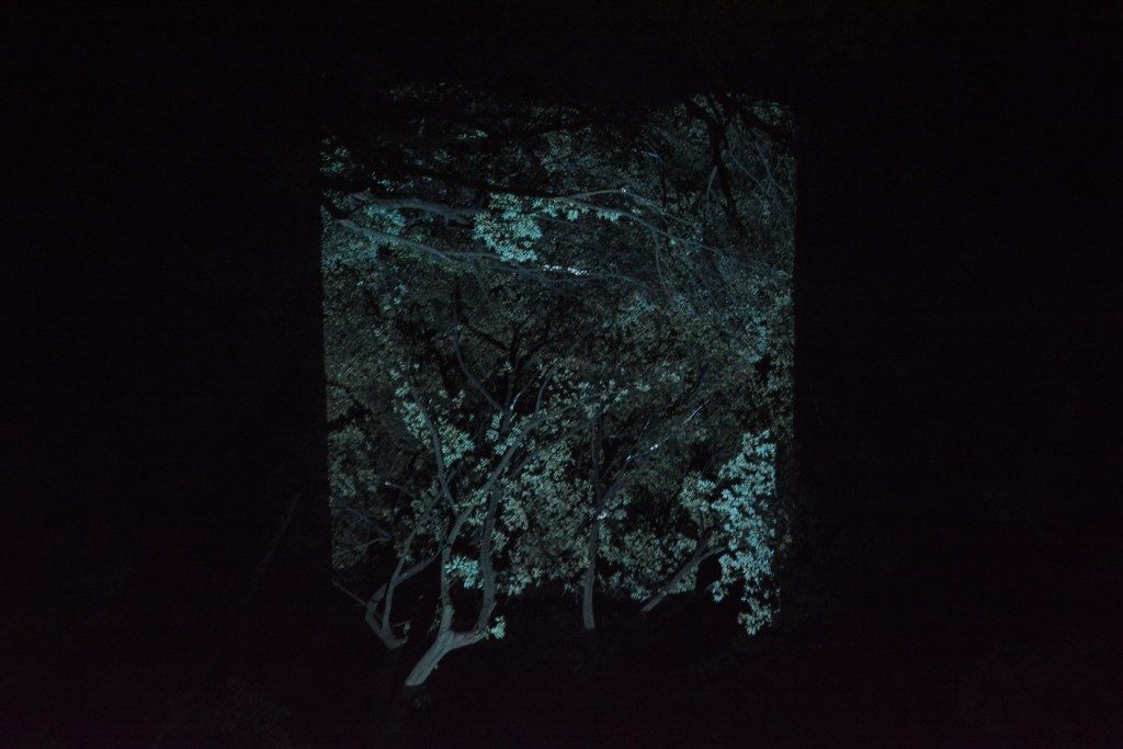Die Ausstellung "Ein Wald wo Götter leben" wurde von Teamlab im Mifuneyama rakuen garten in Takeo onsen, Saga, Japan produziert.