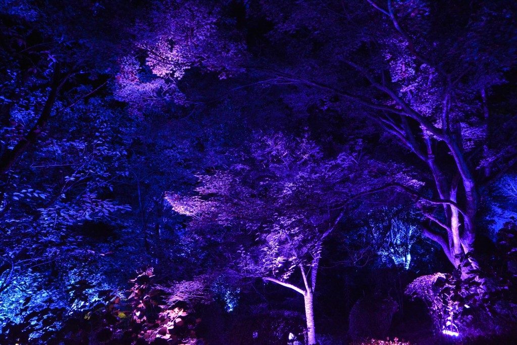 Die Ausstellung "Ein Wald, in dem Götter leben", produziert von Teamlab im Mifuneyama rakuen Garten in Takeo onsen, Saga, Japan