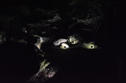 Die Ausstellung "Ein Wald, in dem Götter leben", produziert von Teamlab im Mifuneyama rakuen garten in Takeo onsen, Saga, Japan