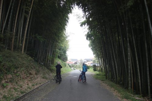 Eine Fahrradtour vom Berg Daisen zum Japanischen Meer, Präfektur Tottori, Japan.
