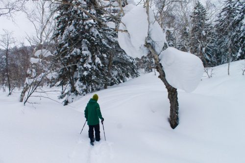 Schneeschuhwanderungen und Skitouren in Asahidake, Hokkaido, Japan.