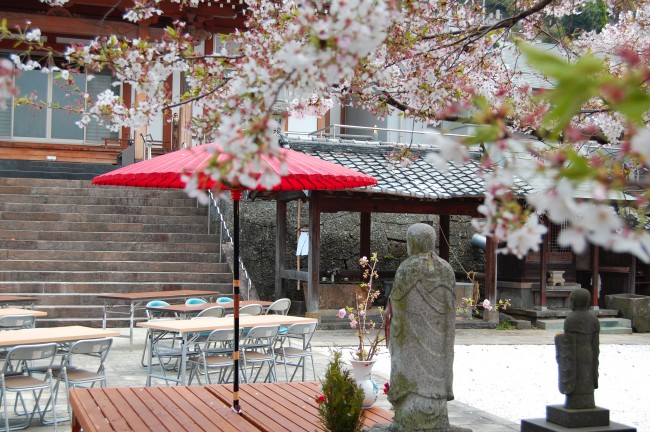 Enmeiji: templo budista y cerezos en flor en Nagasaki