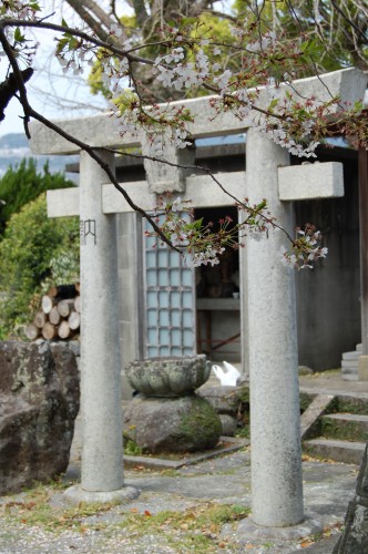 Arco torii del jardín del templo Enmeiji de Nagasaki