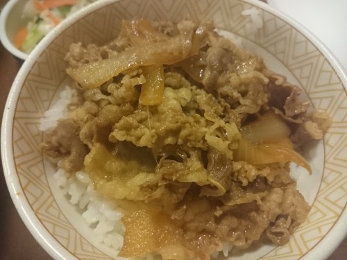 Plato de gyudon en un restaurante japonés en Japón