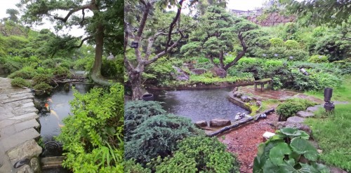 Estanques con peces en los jardines de Glover de Nagasaki (Japón)