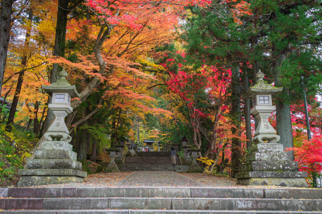 Follaje otoñal en el Santuario Hie de Takayama