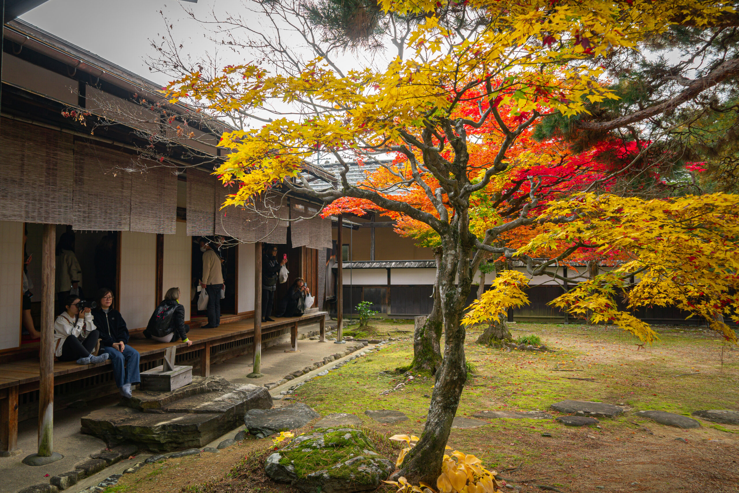 Mi primera vez en Takayama: evitando las multitudes, disfrutando de la tranquilidad