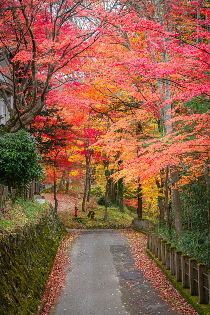 Follaje otoñal en Takayama