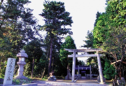 Santuario Yukie de Osafune, Okayama.