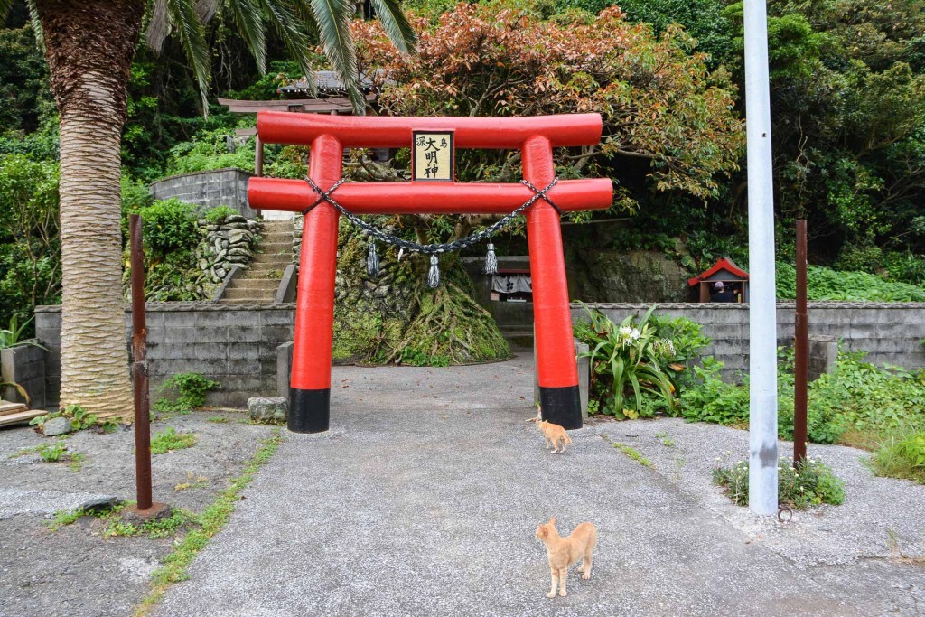 Gato callejero a la entrada de un santuario en Fukashima (Oita).
