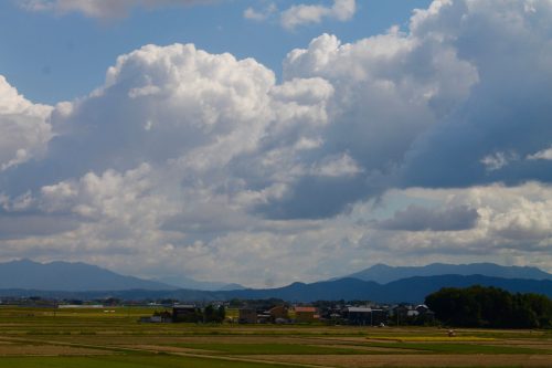 Niigata Farmstay Rural Rice Harvesting Farming Experience Minshuku Takane Murakami
