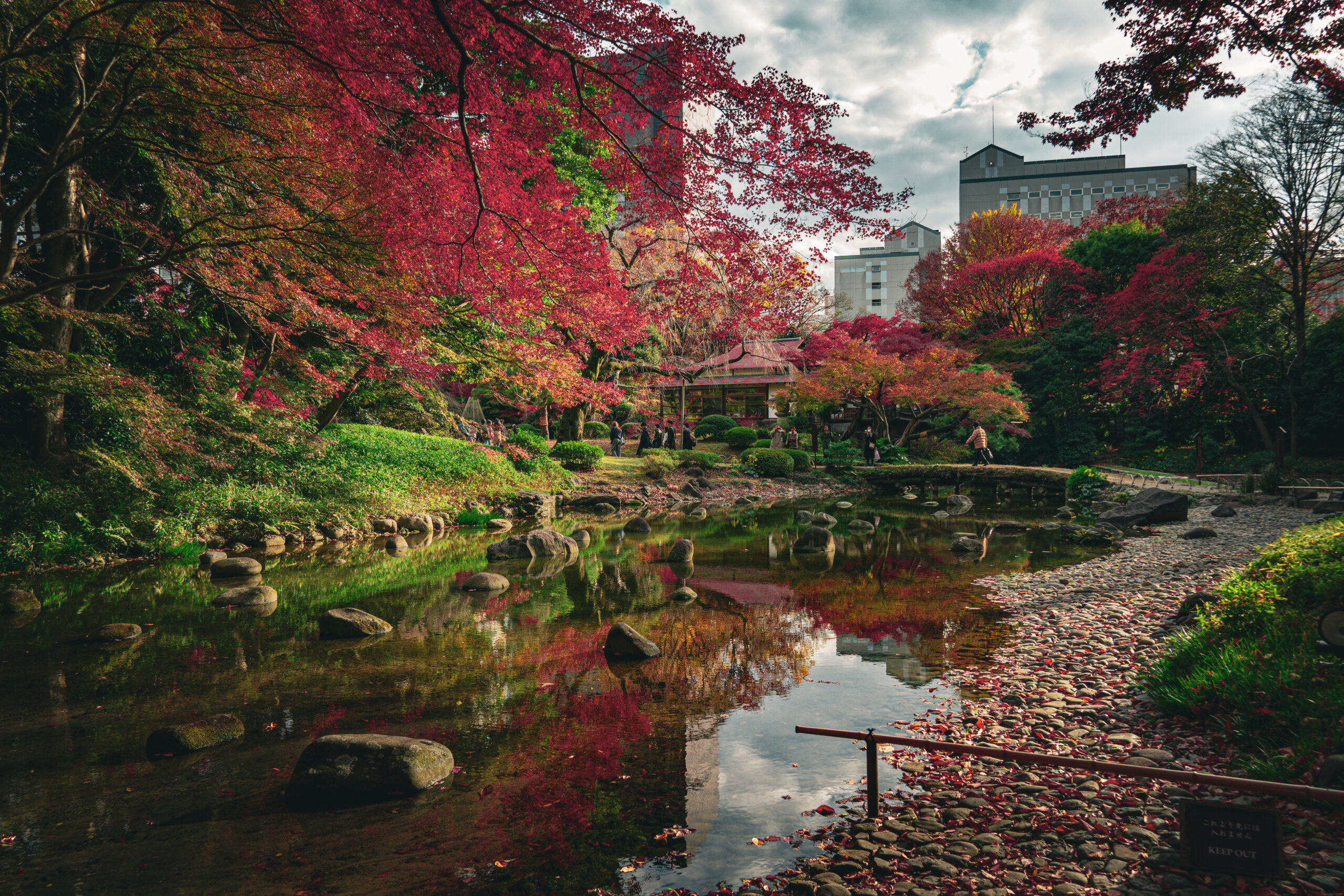 Otoño en Japón: una estación de colores y pequeños placeres
