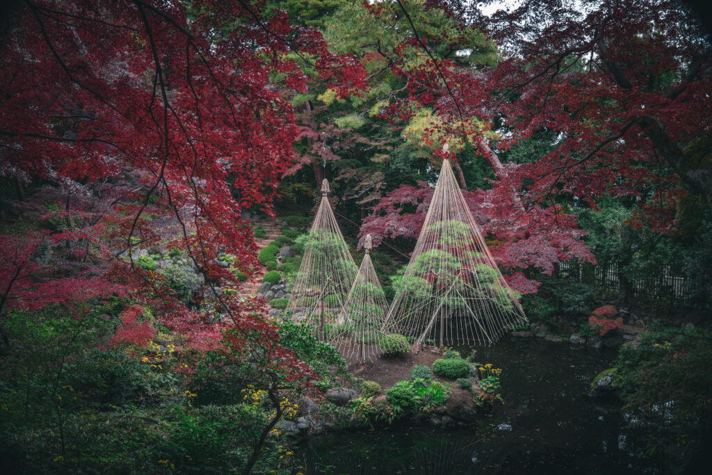 Un parque durante el otoño en Japón