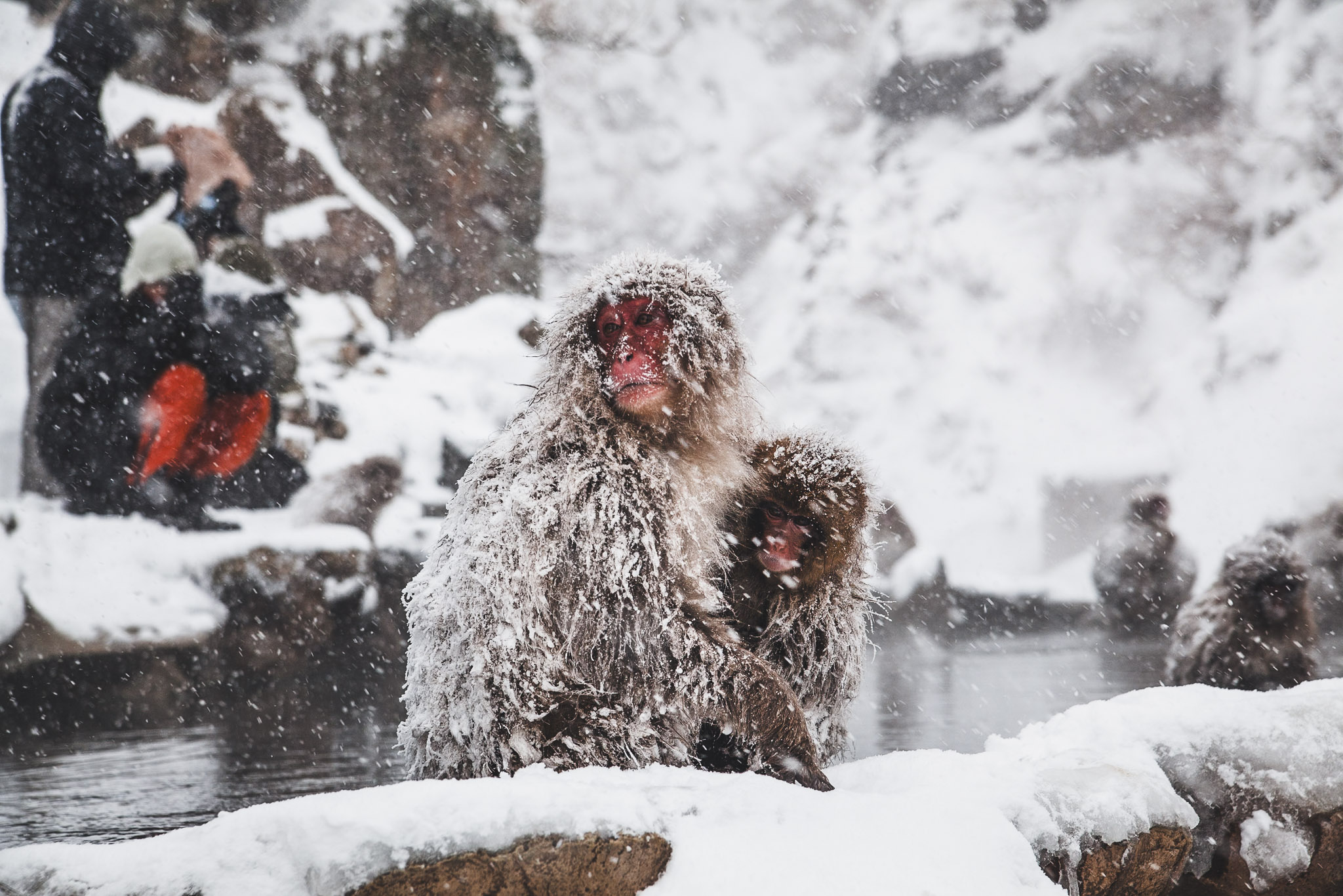 Nagano en invierno: itinerario de 4 días a prueba de borrascas
