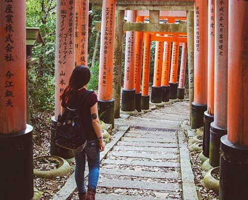 Irene Burricco 🇮🇹