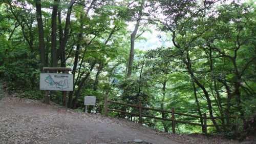 Vue du sentier de Kuzuharaoka-Daibutsu à Kamakura