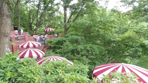 Vue sur les fameux parasols rouges et blancs du café Itsuki  à Kamakura