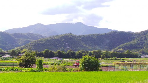 Montagne et campagne à Kyoto