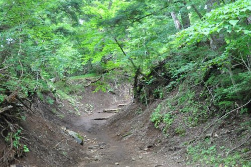 Sentier de randonnée au pied du mont Fuji : la piste Yoshida.