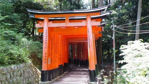 Vue du sanctuaire Fushimi Inari à Kyoto