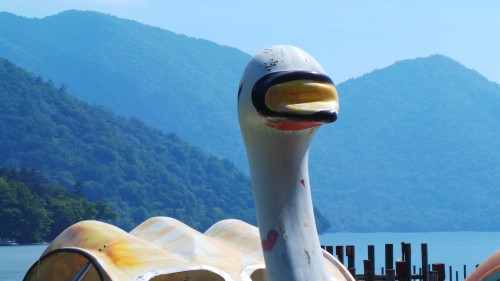 Pédalo en forme de cygne sur le lac Chuzenji à Nikko