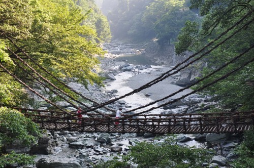 Kazurabashi, le pont suspendu de la rivière Iya, sur l’île de Shikoku