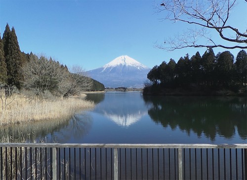 you can see Mount Fuji reflected on the surface of the quiet lake.