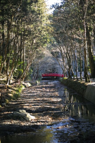 The scenery of Okuni Shrine
