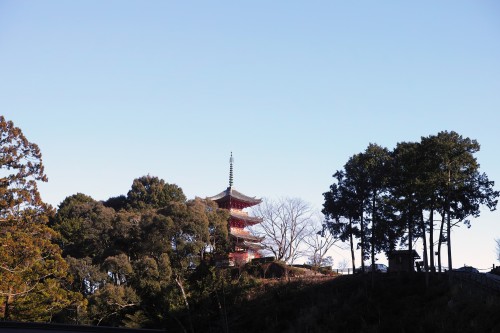 the pagoda in Okuyama Houkouji Temple