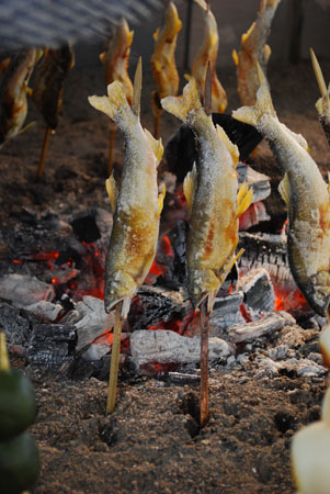 la nature à Nikko : les brochettes de poissons