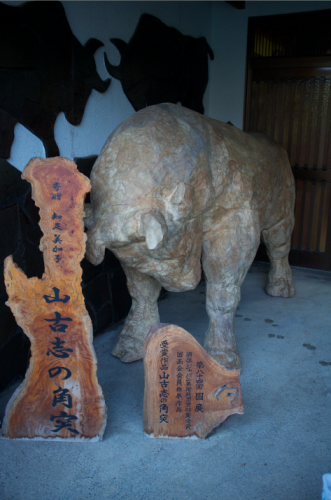 Tsunotsuki est la culture de la tauromachie à Yamakoshi, dans la préfécture de Niigata au Japon