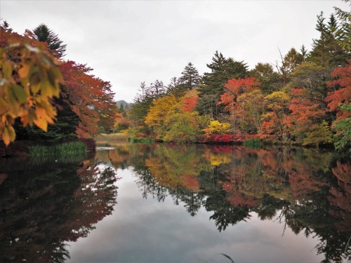 Le temps d’un tour de vélo dans les rues de Karuizawa