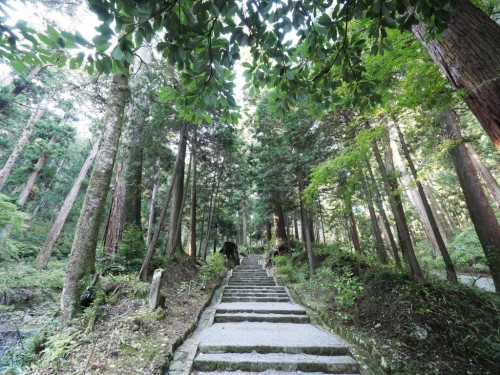 Daiyuzan Saijo-ji, temple, Hakone, Mont Fuji, Tengu, Forêt de cèdres centenaires