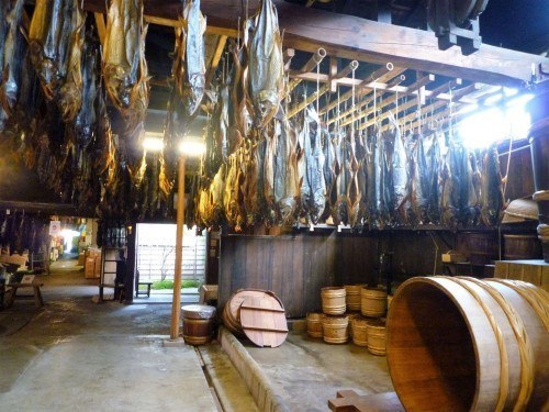 Murakami, la capitale mondiale du saumon !