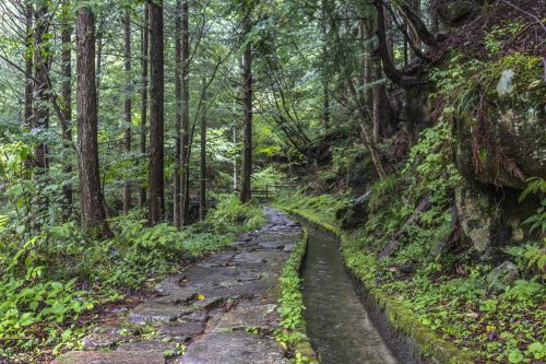 Hiking trail in Yumori Park in Nakatsugawa, Gifu Prefecture, Japan
