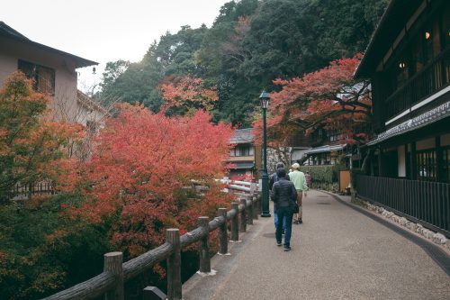 Autumn colors on the maple trees of Minoh, Osaka, Kinki region, Japan