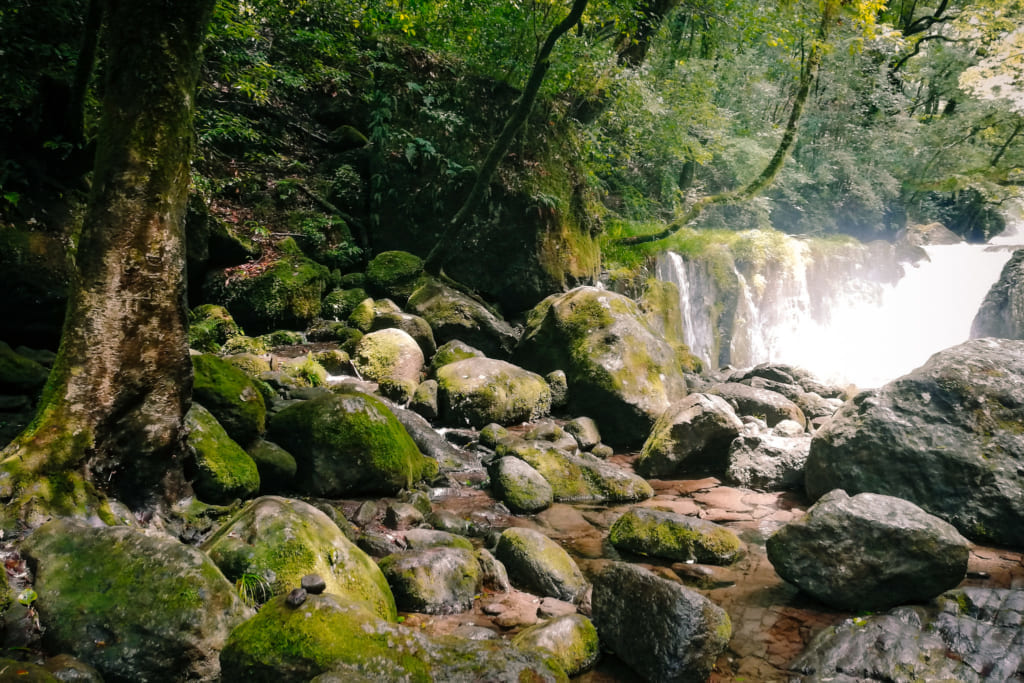 Une des cascades que l'on croise en se promenant dans la forêt de kikuchi