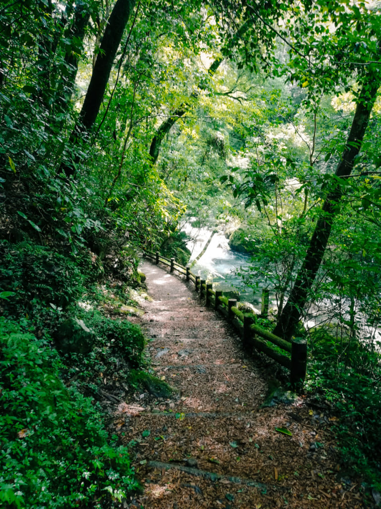 Chemin de randonnée qui s'enfonce dans les forêts luxuriantes des gorges de Kikuchi