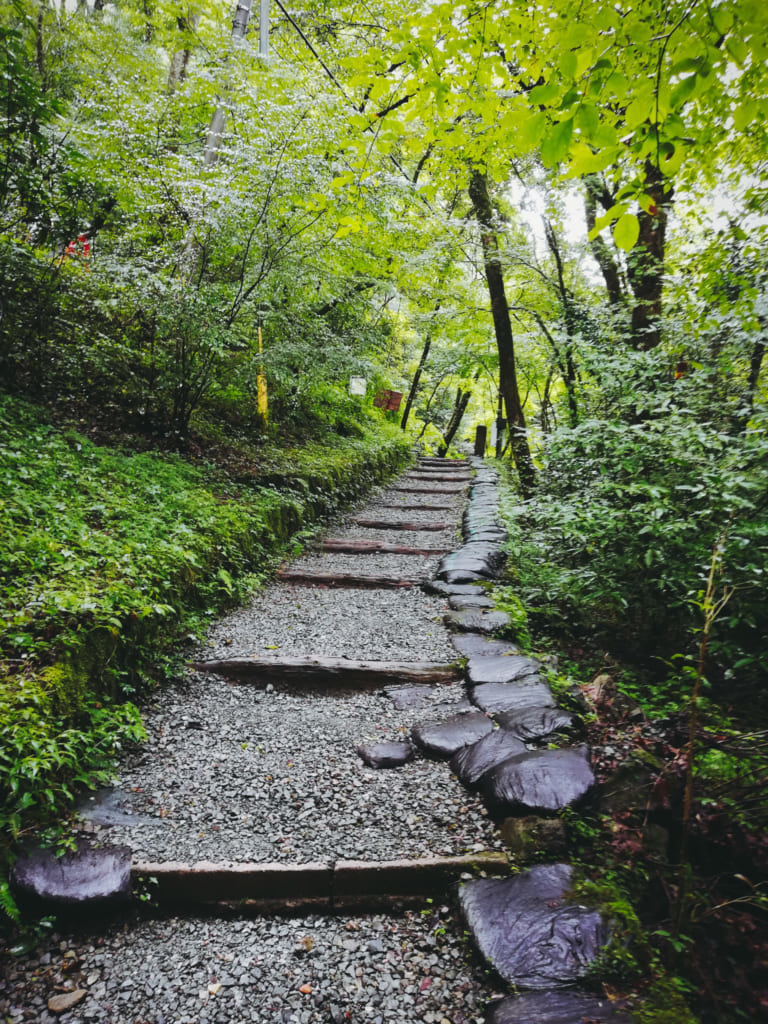 Quelques escalier qui s'enfoncent dans la forêt de kikushi