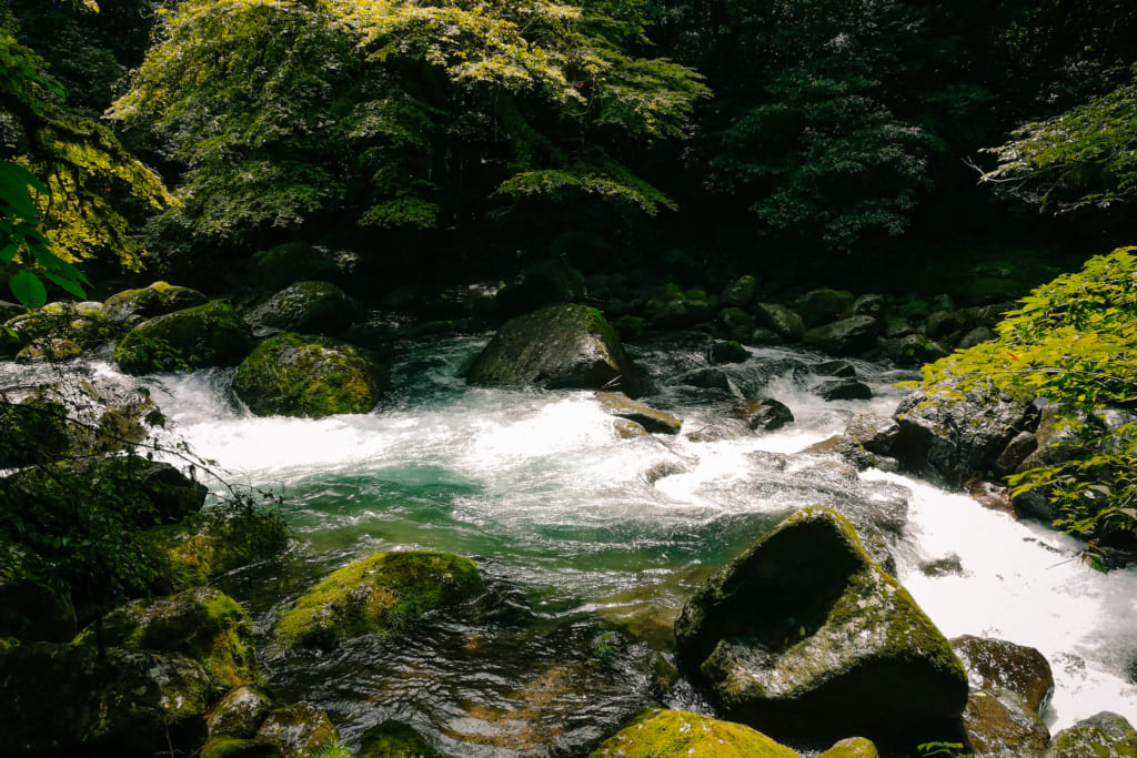 Les eaux pures de la rivière des gorges de kikuchi