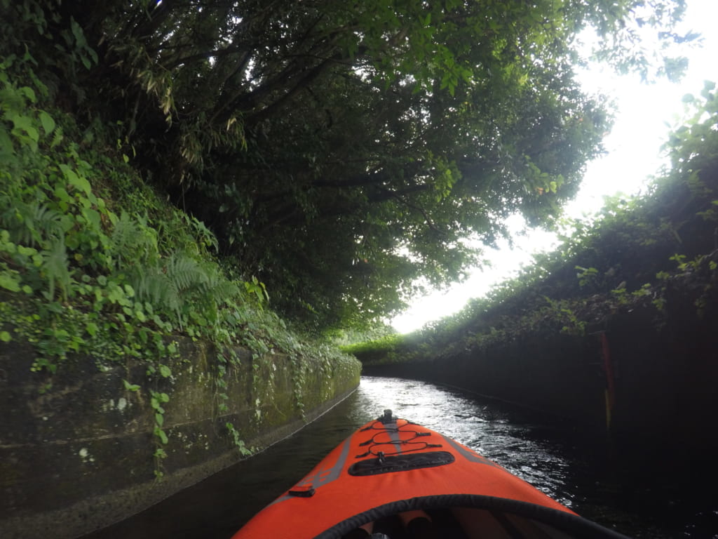 Photo prise depuis un canoe kayak dans les canaux d'irrigation de kikuchi