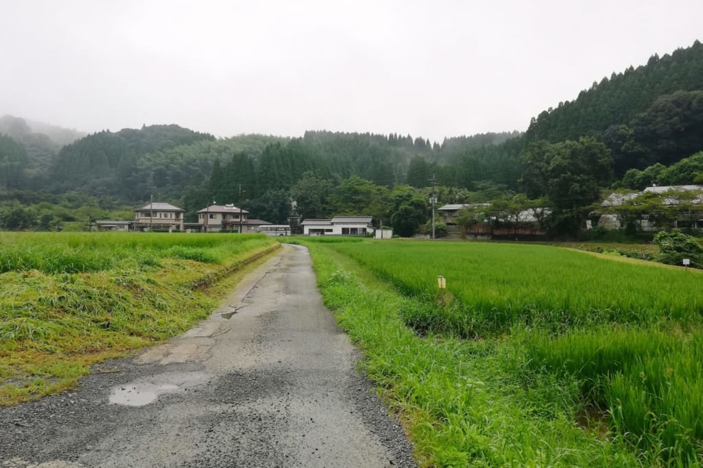 Route menant à Hirayama onsen
