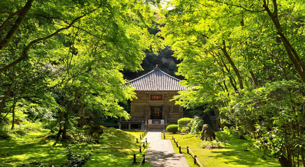 Prénoms japonais populaires dans le pays