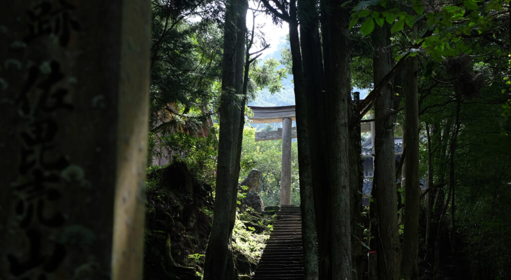 Rayon du soleil au Japon