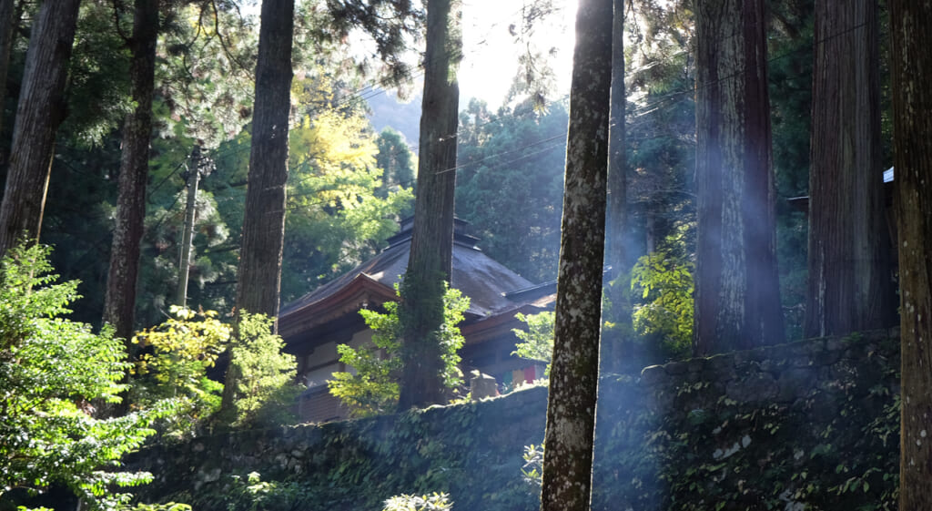 Soleil, nature et sanctuaire