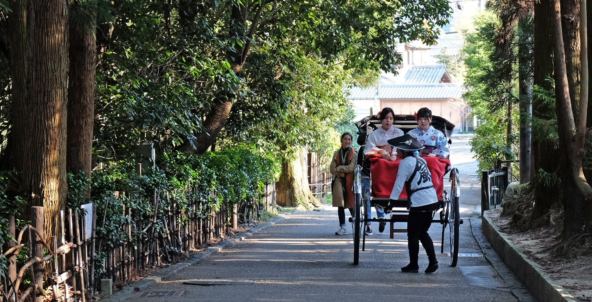Quel est l’âge de la majorité au Japon ?