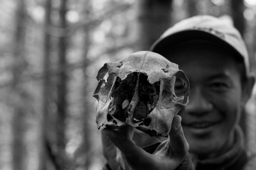 Rencontre surprenante