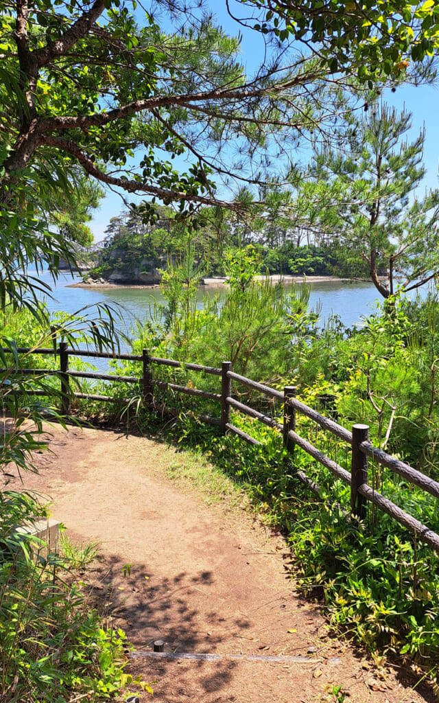 Ile sauvage de la baie