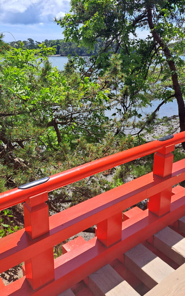 Balade contemplative sur le littoral